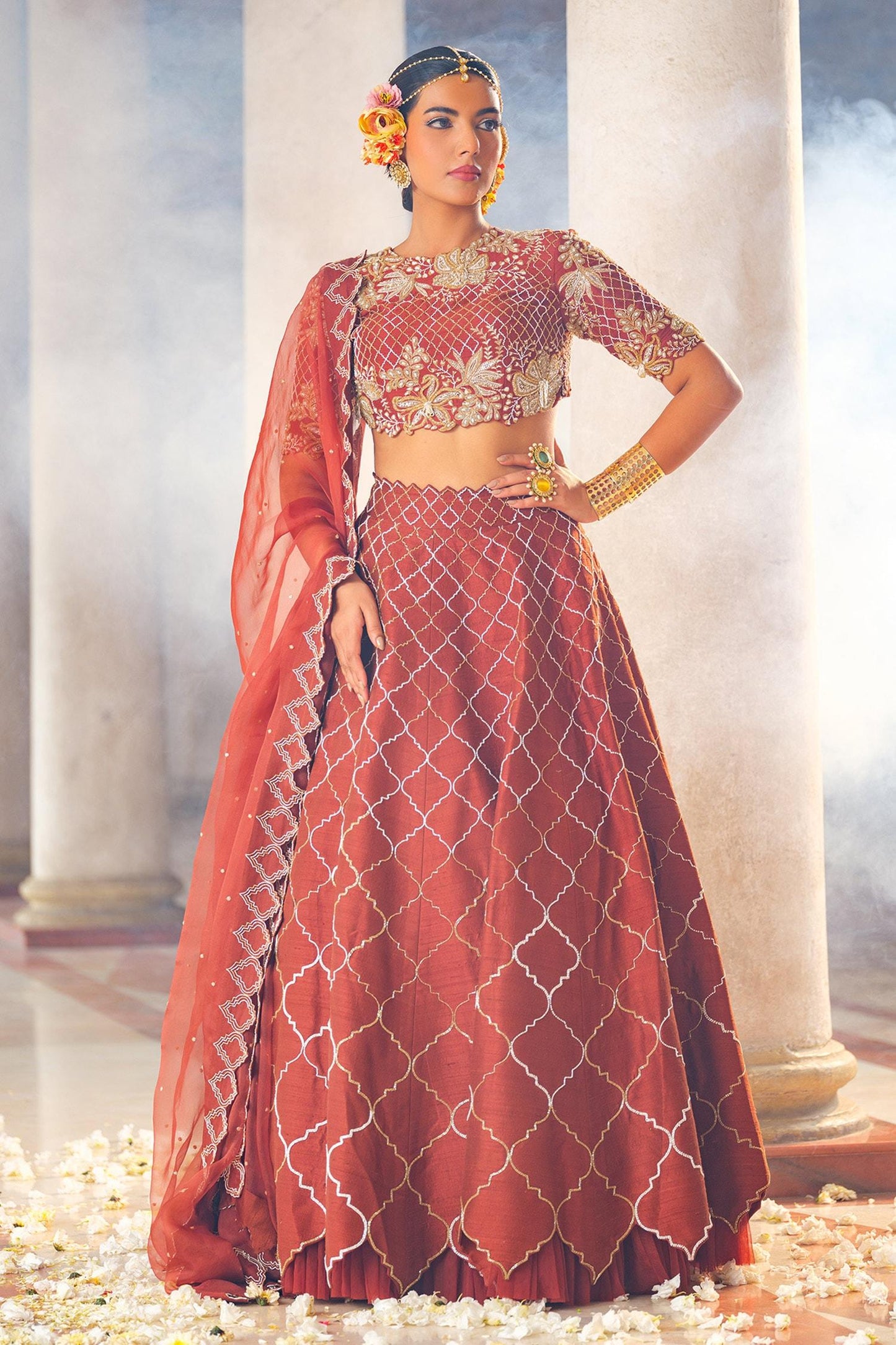 Brown Silk, Organza Cut Work High Neck Mughal Jaal Embroidered Lehenga Set - Designer Kurta Set