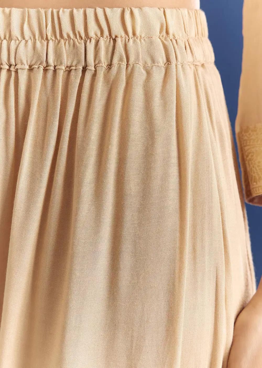 Beige Banarasi Georgette Kurta Ensemble With Zardosi Neckline Outfit