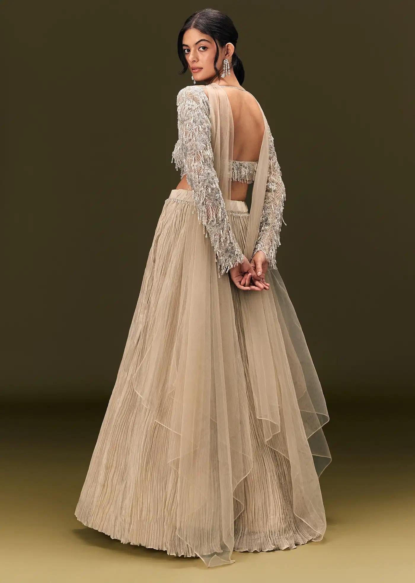 Beige Net Handcrafted Blouse Featuring Ruched Lehenga Skirt Choker Drape