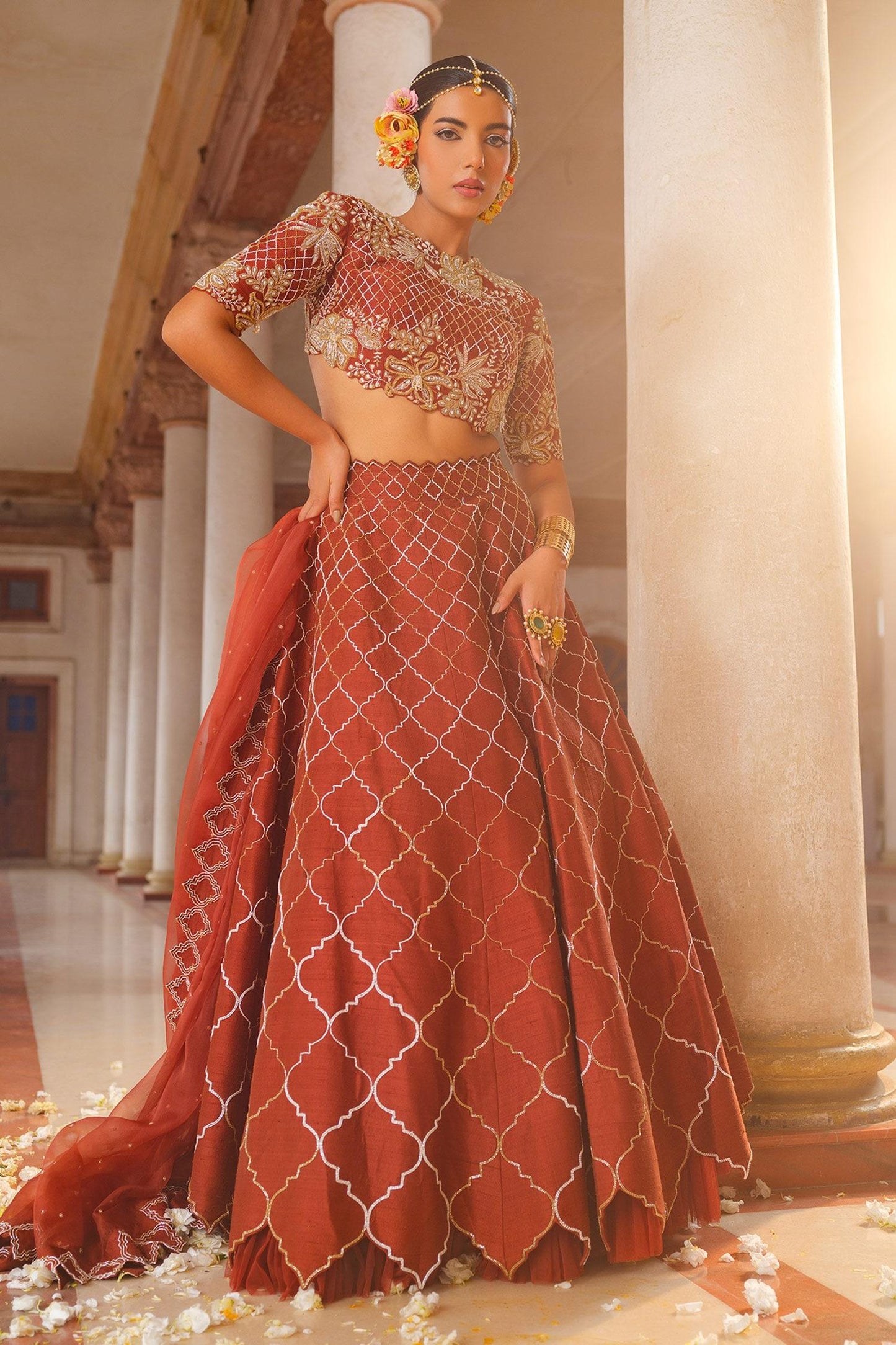 Brown Silk, Organza Cut Work High Neck Mughal Jaal Embroidered Lehenga Set - Designer Kurta Set